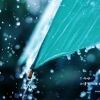 空山新雨后0
