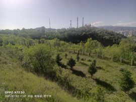 《该死的名字》主播照片