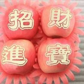 人生如戏经理酸甜苦辣主播照片