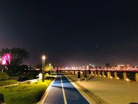藏獒王∶成龙沸沸主播照片