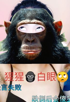花无缺的故事结束啦的图片