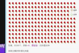 熙熙🌹主播照片