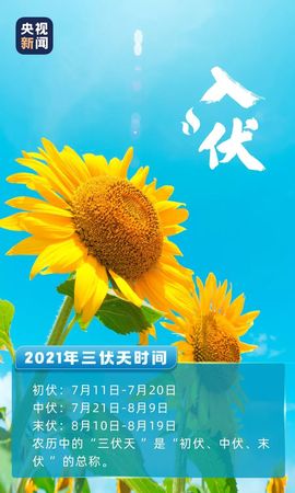 超持久“桑拿天”来了主播照片