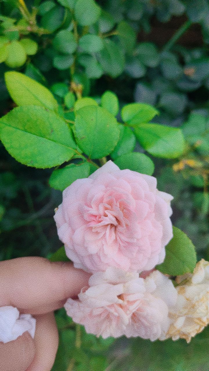 婷婷💕感恩有你陪伴的图片
