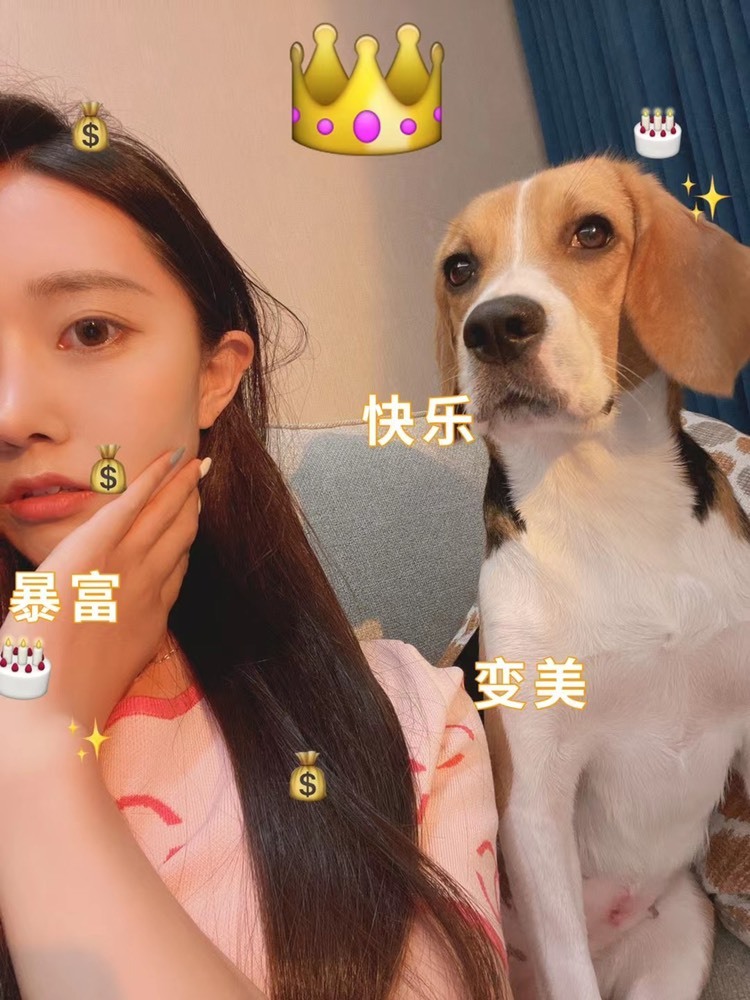 嘉瀚娱乐✨小部长💗的图片