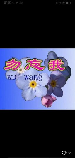 现实✔差距主播照片
