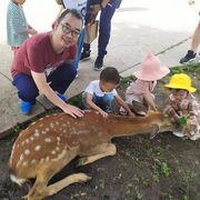 潘铁公鸡海报