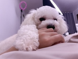 退网了，谢谢大家关心主播照片