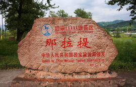 实力决定话语权主播照片