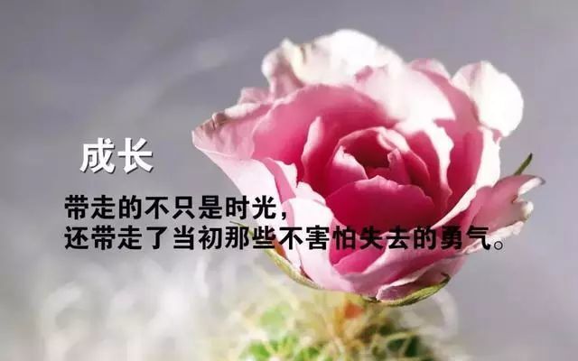 婷婷💕感恩有你陪伴的图片