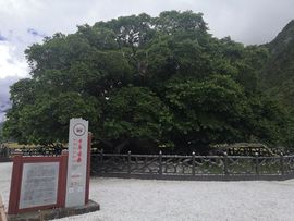 实力决定话语权主播照片