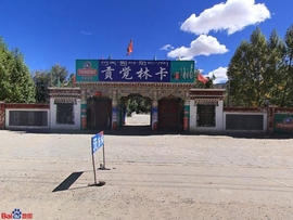 实力决定话语权主播照片
