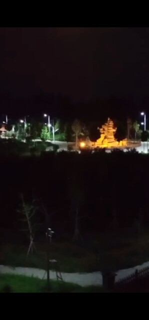 没事儿喂蚊子🧚