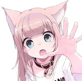喵崽小花猫主播照片