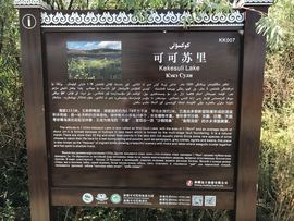 实力决定话语权主播照片
