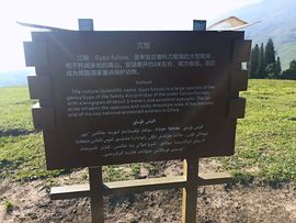 实力决定话语权主播照片