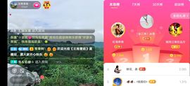 云南壹姐主播照片