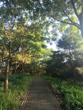 My*风景的图片