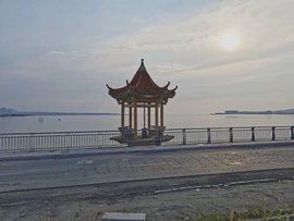 დ释怀დ主播照片