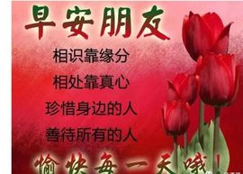现实✔差距主播照片