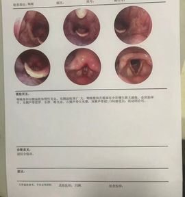 茶茶大吉大利的图片