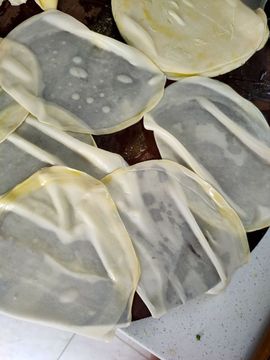 素雅依依暂休主播照片