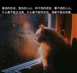 柒七休主播照片