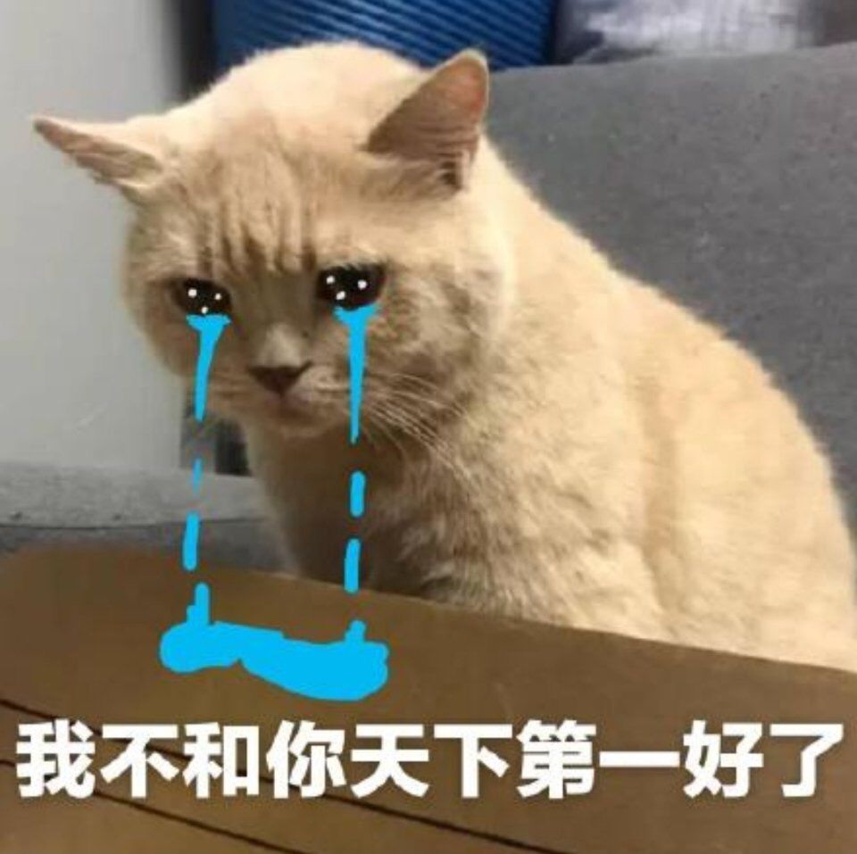 相思无用3456主播图片