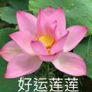 细雨无眠u