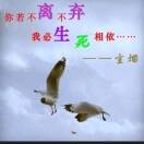 只为你nr的头像