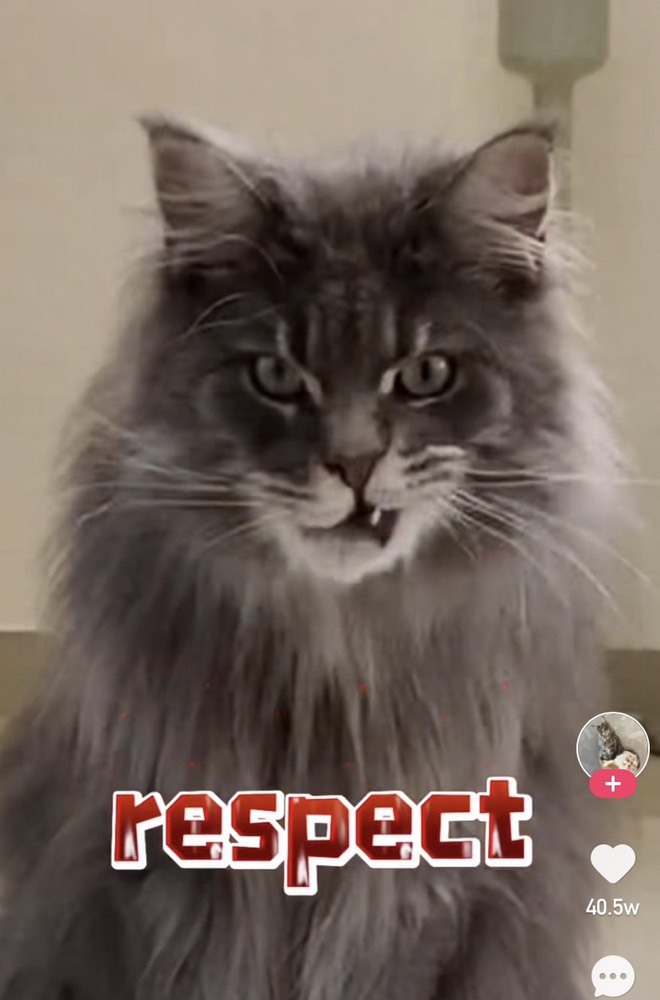 月总不在的主播照片