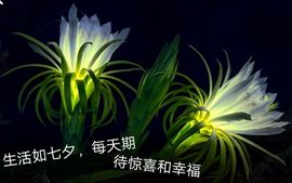 现实✔差距主播照片