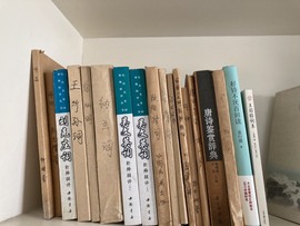 双成菲菲🎤的图片