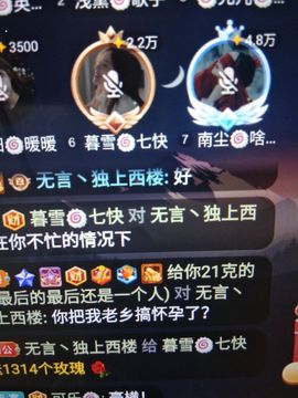 暮雪🍁升7冠主播照片