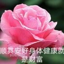 欢度人生c