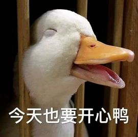 温暖宝宝暂停键明天见主播照片