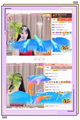凤凤凤凤凤凤凤凤凤.主播照片