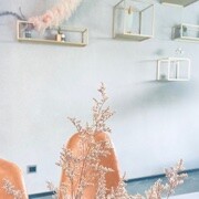 点斑点海报