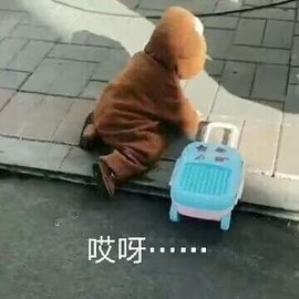 新人影儿众筹四冠的图片