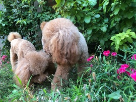 小痴儿今日休主播照片
