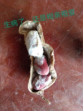 现实✔差距主播照片