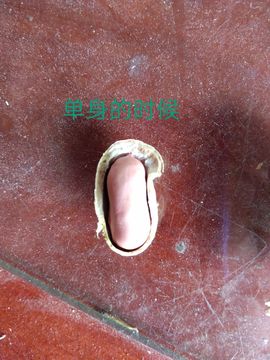 现实✔差距主播照片