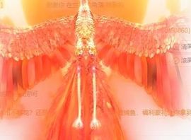 倾颜🍊天降好运主播照片