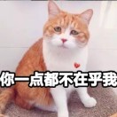 流年lu