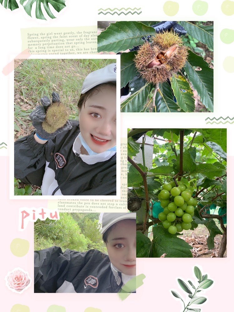 Lッ♥✿小白白的图片