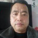 独步天下专业修树15