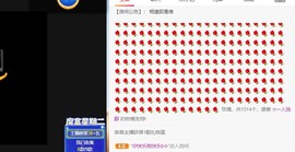 柚子哈主播照片