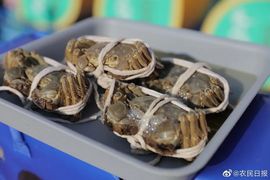 超持久“桑拿天”来了主播照片