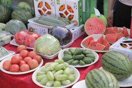 超持久“桑拿天”来了主播照片