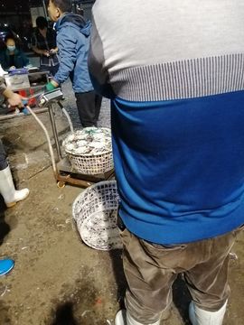莱州海鲜斌弟的图片